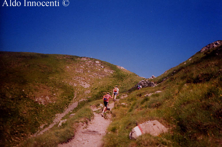 ALTRA IMMAGINE DEL PASSO DELLO STROFINATOIO